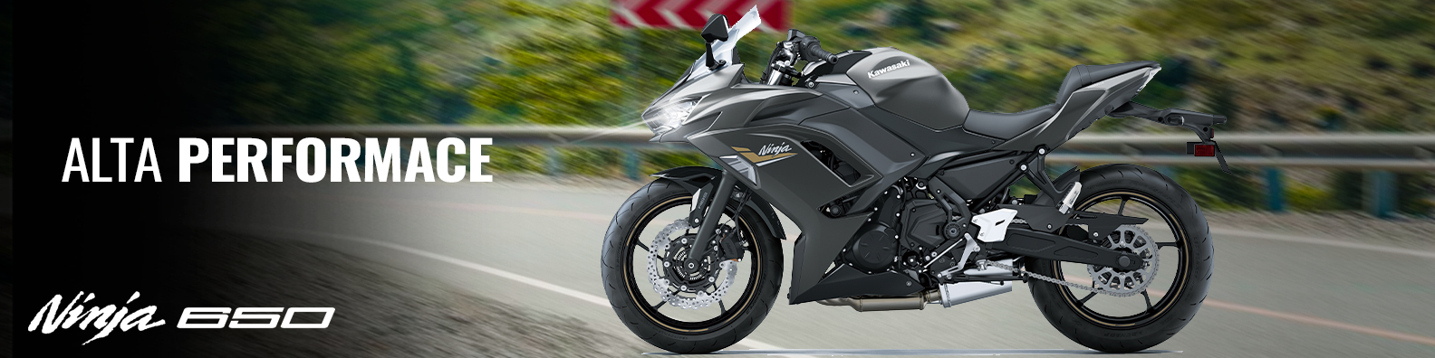 BANNER-NINJA650